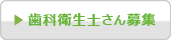 歯科衛生士さん募集